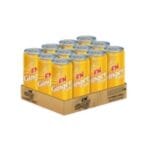 F&N Ginger Ale 320ml x 24 Cans